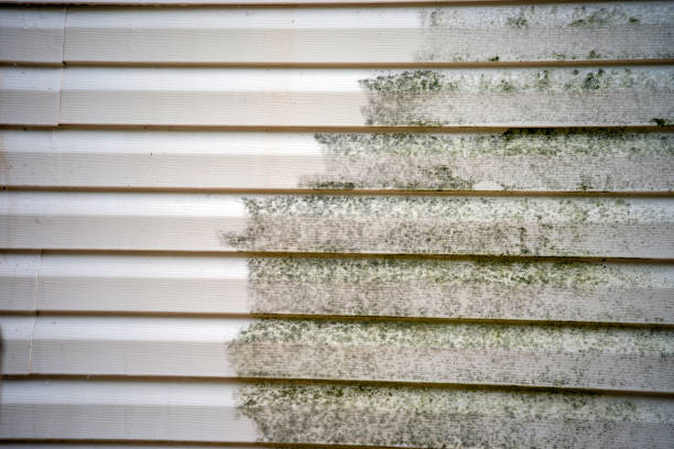 Best Siding for New Construction  in Westerville, OH